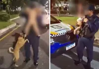 Bebê de 1 ano foge de casa e é encontrado na rua com cachorro