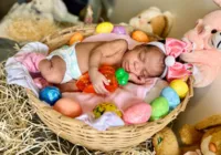 Bebês prematuros participam de sessão de fotos com tema de Páscoa