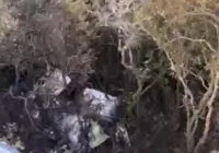 Buscas por piloto de avião que caiu na Serra do Japi são retomadas