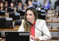 CCJ do Senado aprova o Sistema Nacional de Cultura