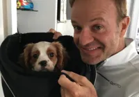 Cachorro de Rubinho Barrichello morre após comer 11 bitucas de cigarro