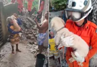 Cachorro é resgatado após mais de 30h em escombros no Largo do Tanque