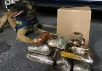 Cães da PRF encontram cocaína, crack e maconha em ônibus na Bahia