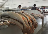Camarão e peixe vão pesar mais no bolso nesta Semana Santa