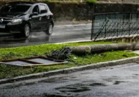 Carro roda na pista e bate em poste no Vale do Canela