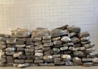 Cerca de 100kg de maconha são apreendidos em Oliveira dos Brejinhos