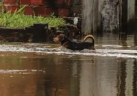Chuvas: em dois dias, Salvador teve mais de 900 ocorrências