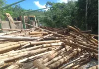 Ciclista morre após ser atingido por toras de madeira na Bahia