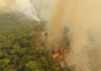 Cobertura florestal mundial perde 3,7 milhões de hectares em 2023