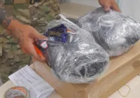 Cogumelos alucinógenos são apreendidos em encomendas dos Correios