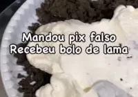 Confeiteira baiana recebe pix falso e se vinga enviando bolo de lama