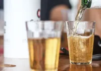 Dia da Ressaca: consequências do uso desenfreado de bebida alcóolica