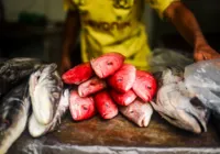 Empreendedor distribui peixes para famílias carentes na Semana Santa