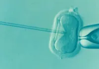 Especialista esclarece mitos e verdades sobre a infertilidade