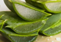 Estudantes do Sul da Bahia desenvolvem sabonete cicatrizante