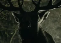 Filme de terror de Bambi ganha teaser; assista