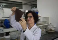 Filmes bioplásticos para embalagens são produzidos com casca de banana