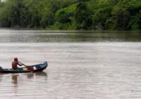 Fundo Amazônia aprova R$ 98 mi para combate ao desmatamento no Acre