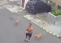 Homem é flagrado andando com dois Pitbulls soltos; vizinhos denunciam