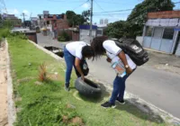 Incidência de dengue na Bahia é preocupante