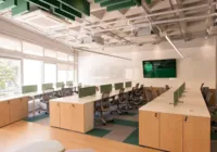 Laboratório de pesquisa do Rio estuda previsão de desmatamento com IA