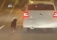Motorista que puxou cachorro pela coleira com carro é indiciado