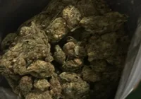 Mulher é presa com mais de 1 kg de maconha no ferry boat de Salvador