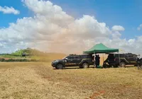 PF deflagra maior ação de erradicação de plantios cannabis do planeta