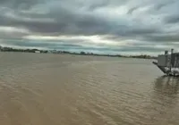 Peixes boiando são vistos nas ruas alagadas de Porto Alegre