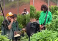 Planet Hemp faz show e videoclipe em plantação de maconha