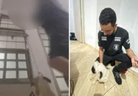 Polícia apreende adolescente após enforcar cão durante live