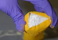 Polícia encontra 150 kg de cocaína que saíram do Brasil na Itália