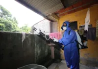 Qual a razão para o aumento de casos de dengue em 2024? OMS explica