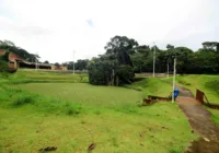 Recuperação de áreas verdes fazem parte de estratégia ambiental