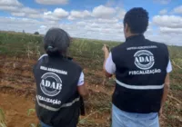 Saiba detalhes do concurso com 160 vagas para agrônomos e veterinários
