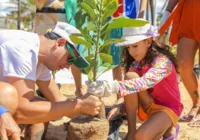Salvador vai sediar encontro nordestino de arborização urbana