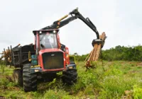 Serão ofertadas 14 vagas para curso da área florestal na Bahia