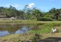 Terra liderada por Mãe Bernadete é reconhecida como quilombola