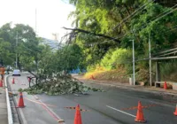 Trânsito na Avenida Garibaldi é interditado temporariamente