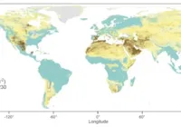 Trilhões de toneladas de carbono estão retidas no solo