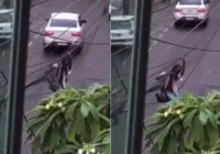 VÍDEO: Homem é flagrado pendurado em rede de fiação no bairro da Graça