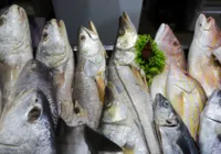 Vendas de pescados têm alta de 30% na quaresma