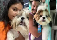 Veterinário alerta para risco de intoxicação