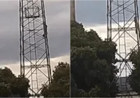 Vídeo: Homem cai de torre telefônica após ataque de abelhas na Bahia