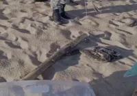 Vídeo: Sucuri é resgatada na praia de Jardim de Alah