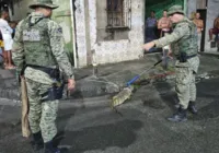 Vídeo: jacaré-de-papo-amarelo e jiboia são resgatados em Salvador