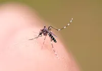 Vitória da Conquista registra nova morte por dengue