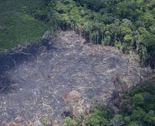 Ações coletivas de pequenas empresas podem mitigar crises climáticas