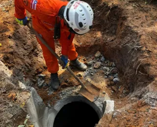 Após mais de 5h de resgate, égua é retirada de bueiro