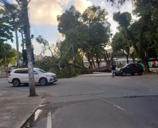 Árvore de grande porte cai e derruba poste no Largo do Campo Grande